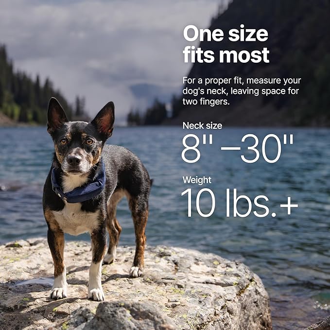 Halo Collar 5, New Wireless Dog Fence & GPS Dog Collar, Subscription Required, Waterproof, Orchid, One Size