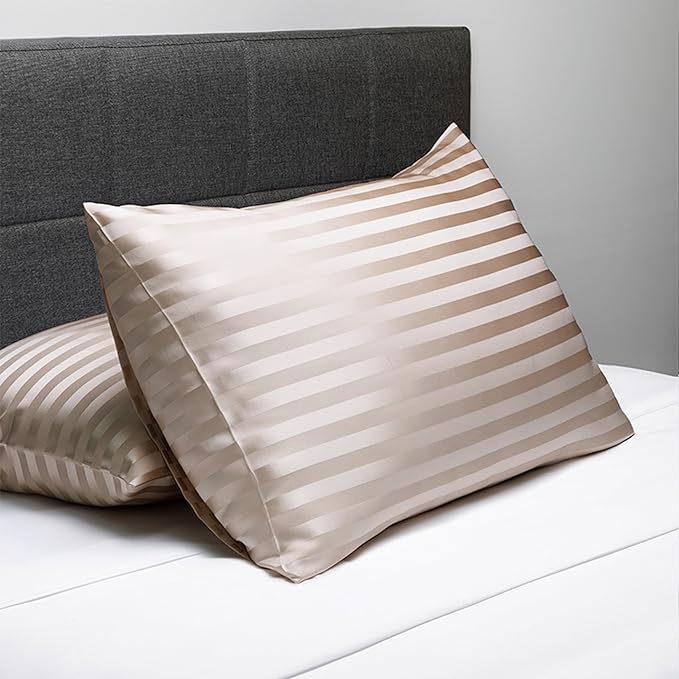 Fishers Finery 30mm 100% Pure Mulberry Silk Pillowcase, Quality Tested (Taupe Stripe, Queen)