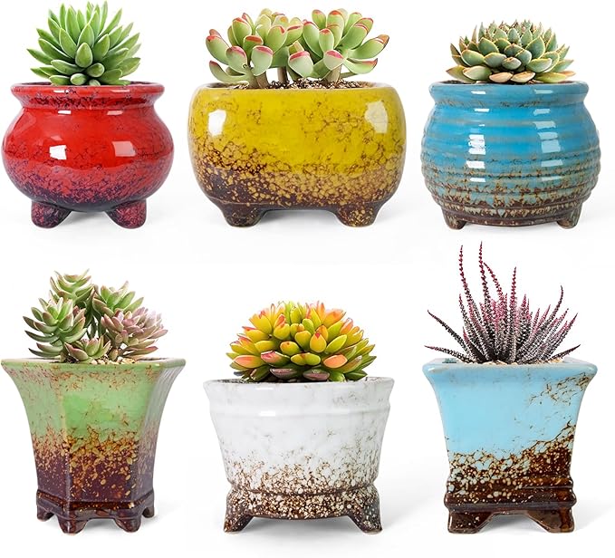ARTKETTY Succulent Pots - Small Succulent Plant Pot with Drainage Pack of 6, Ceramic Cactus Planter Pots for Indoor Unique Flower Planter Container for Home Office Decor
