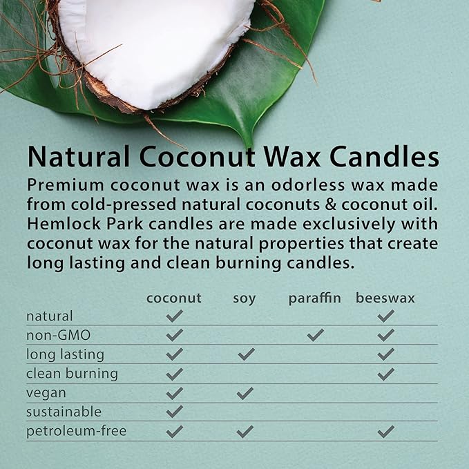 Hemlock Park Crackling Wood Wick Candle Handcrafted with Natural Coconut Wax (Standard 8 oz, Golden Hour)