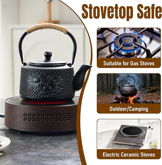 PARACITY Cast Iron Teapot Japanese 800ml/27oz, Tea Kettle Pot for Stove Top, Tea Pot with Stainless Steel Infusers for Loose Tea, Boiling Hot Water Tea, Mothers Day Gifts from Daughter/Son