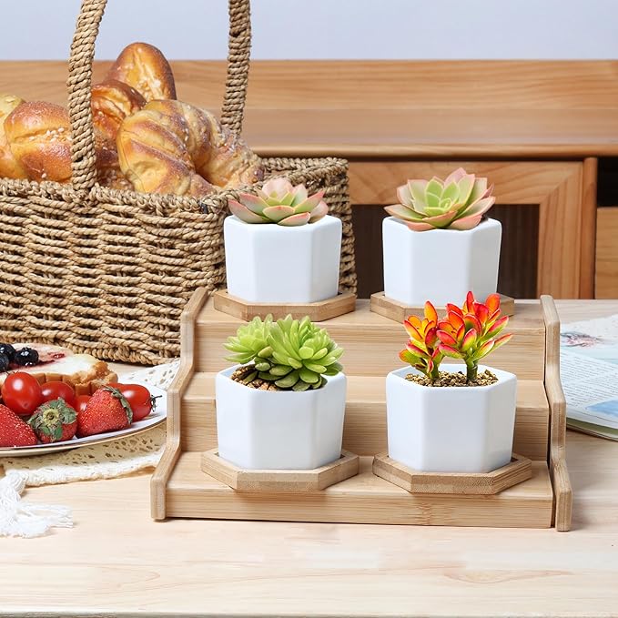 T4U Small White Succulent Planter Pots with Bamboo Tray Hexagon Set of 6, Geometric Ceramic Cactus Plant Holder, Gifts for Plant Lover Gardener Women, Home Office Table Desk Decoration