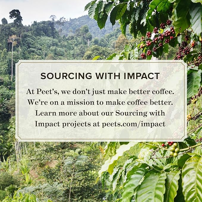 Peet's Coffee, Medium Roast Keurig K-Cup Pods - Off The Grid 10 Count (1 Box of 10 Pods)