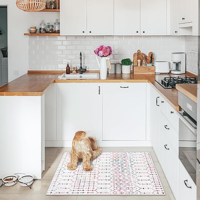 Lahome Moroccan Indoor Door Mats for Entryway - 2x3 Area Rug Non-Slip Backing Washable Rug for Kitchen Low-Profile Throw Soft Bath Rug, Colorful Print Distressed Front Door Rugs for Entrance Bedside