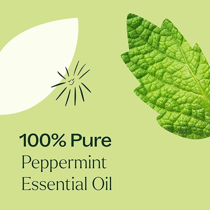 Plant Therapy Peppermint Essential Oil 100 mL (3.3 oz) 100% Pure, Undiluted, Natural Aromatherapy for Diffuser & Topical Use, Digestion, Respiratory, & Massage, Peppermint Oil for Skin & Hair