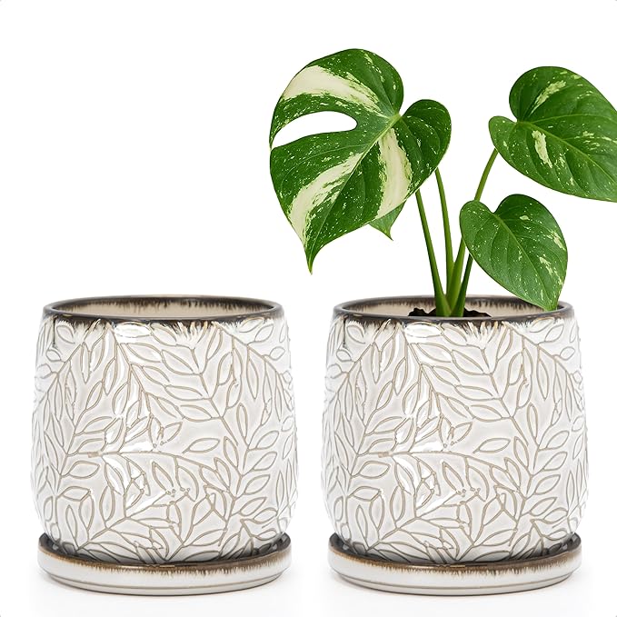 D'vine Dev 5 Inch Embossed Leaves Stoneware Planter Pot with Drainage Hole and Saucer, Smoked White, Set of 2, 27-F-V-1