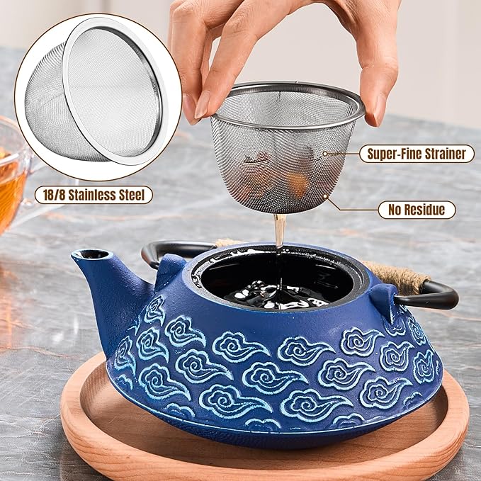 PARACITY Cast Iron Teapot Japanese 800ml/27oz, Tea Kettle Pot for Stove Top, Tea Pot with Stainless Steel Infusers for Loose Tea, Boiling Hot Water Tea, Mothers Day Gifts from Daughter/Son