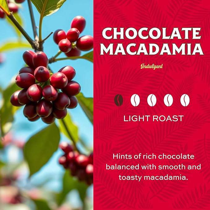 Lion Coffee Chocolate Macadamia Flavored Medium Roast Coffee Pods - Single-Serve Pods - Hawaiian Inspired Flavor - Arabica Coffee - Compatible with Single-Serve Brewing Systems - 12 Count Box