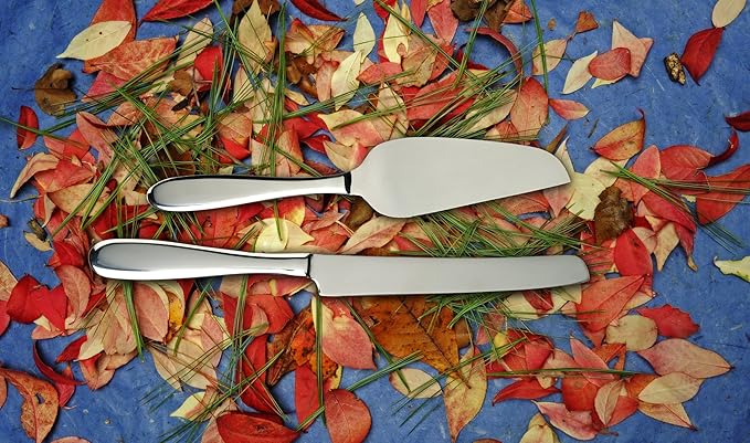 Fortessa Grand City Stainless Steel Cake Serving Set in a Box