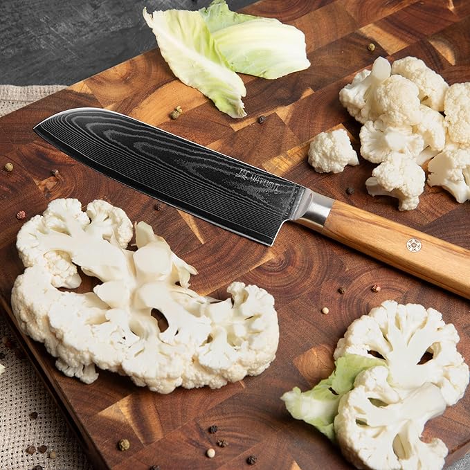 Yatoshi Knives Magnetic Kitchen Knife Block Set - Japanese 67 Layer High-Grade VG-10 Steel Knives, Sharp, Professional Kitchen Knife Set - Damascus (6 pieces), Olive Wood Handles